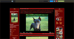 Desktop Screenshot of doberwoman.skyrock.com