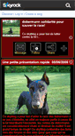 Mobile Screenshot of doberwoman.skyrock.com