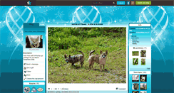 Desktop Screenshot of choco-blue.skyrock.com