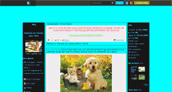 Desktop Screenshot of chien-agility-star.skyrock.com