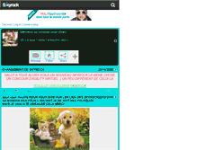 Tablet Screenshot of chien-agility-star.skyrock.com