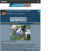 Tablet Screenshot of comportementaliste-33.skyrock.com