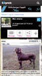 Mobile Screenshot of epagneul38.skyrock.com