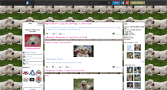 Desktop Screenshot of goldens-are-beautiful.skyrock.com