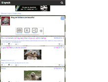 Tablet Screenshot of goldens-are-beautiful.skyrock.com