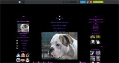 Desktop Screenshot of american-bulldog.skyrock.com