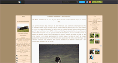 Desktop Screenshot of chevaaux-islandais.skyrock.com