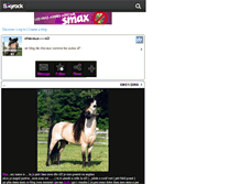 Tablet Screenshot of chevaux-----x3.skyrock.com