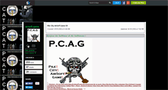 Desktop Screenshot of airsoft-game.skyrock.com