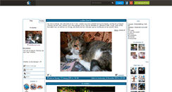 Desktop Screenshot of minette-mon-chat.skyrock.com