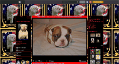 Desktop Screenshot of americanpowerbull.skyrock.com