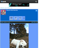 Tablet Screenshot of chiots-trop-chou.skyrock.com