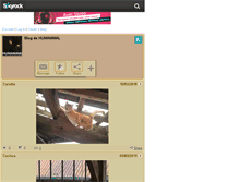 Tablet Screenshot of humanimal.skyrock.com
