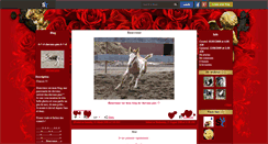 Desktop Screenshot of chevaux-pies.skyrock.com