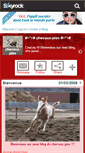 Mobile Screenshot of chevaux-pies.skyrock.com