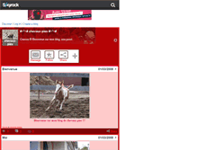 Tablet Screenshot of chevaux-pies.skyrock.com