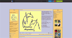 Desktop Screenshot of crinieresargentees.skyrock.com