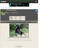 Tablet Screenshot of equine-photo.skyrock.com