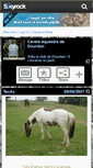 Mobile Screenshot of clubdedourdan.skyrock.com