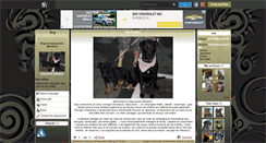 Desktop Screenshot of beaucerons-labradors.skyrock.com