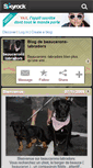 Mobile Screenshot of beaucerons-labradors.skyrock.com