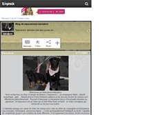 Tablet Screenshot of beaucerons-labradors.skyrock.com