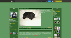 Desktop Screenshot of laurag693.skyrock.com