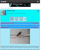 Tablet Screenshot of faffchardo.skyrock.com