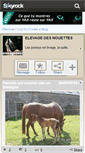 Mobile Screenshot of elevagedesnouettes.skyrock.com