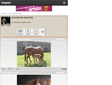Tablet Screenshot of elevagedesnouettes.skyrock.com
