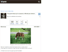 Tablet Screenshot of animaux-en-danger51.skyrock.com