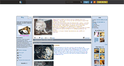 Desktop Screenshot of animaux-respect.skyrock.com