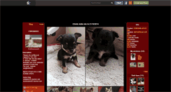 Desktop Screenshot of chihuahuas01.skyrock.com