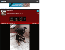 Tablet Screenshot of chihuahuas01.skyrock.com