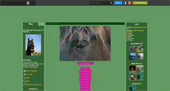 Desktop Screenshot of cheval-texte.skyrock.com