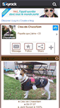 Mobile Screenshot of cleo-de-chassfaim.skyrock.com