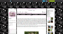 Desktop Screenshot of br0otalxd0ll.skyrock.com