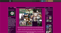 Desktop Screenshot of les-crins-de-jolie-du-84.skyrock.com