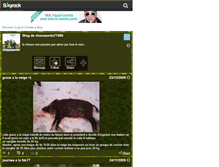 Tablet Screenshot of chasseurdu77480.skyrock.com