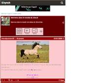 Tablet Screenshot of chevalpassion23.skyrock.com