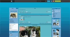 Desktop Screenshot of chien-chat44.skyrock.com