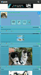 Mobile Screenshot of chien-chat44.skyrock.com