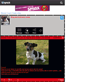 Tablet Screenshot of eliott-jack-russel.skyrock.com