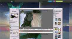 Desktop Screenshot of chien960.skyrock.com