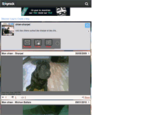 Tablet Screenshot of chien960.skyrock.com