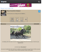 Tablet Screenshot of equitation-belgique.skyrock.com