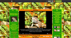 Desktop Screenshot of elevage-pour-reptiles.skyrock.com