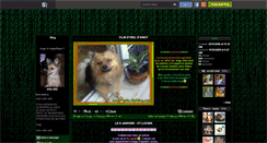 Desktop Screenshot of angy-spitz.skyrock.com