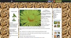 Desktop Screenshot of passiflore.skyrock.com
