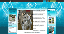 Desktop Screenshot of csadn-equitation.skyrock.com